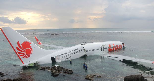 Lion Plane