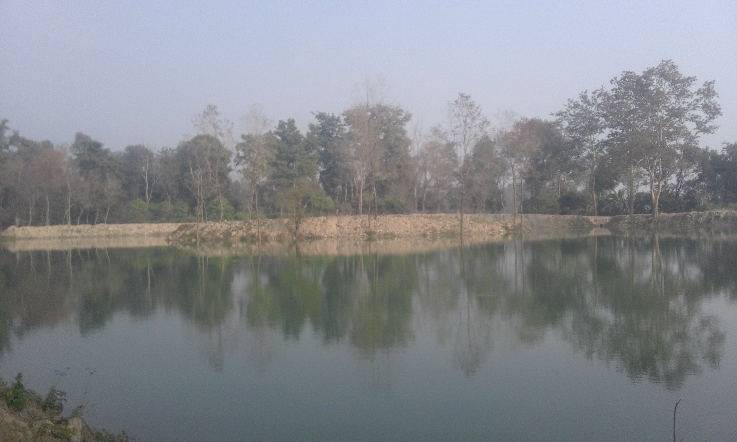 wetland