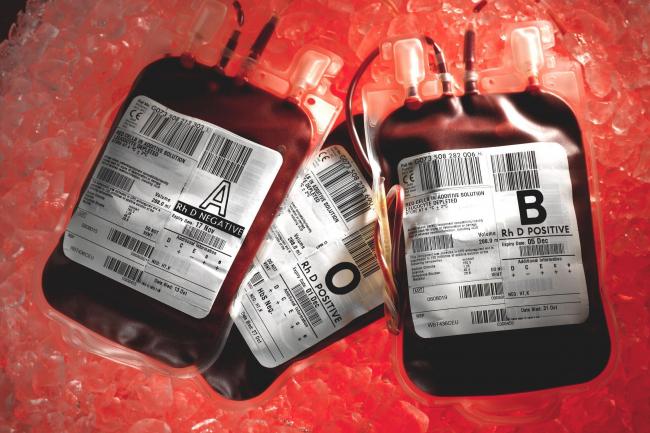 Blood