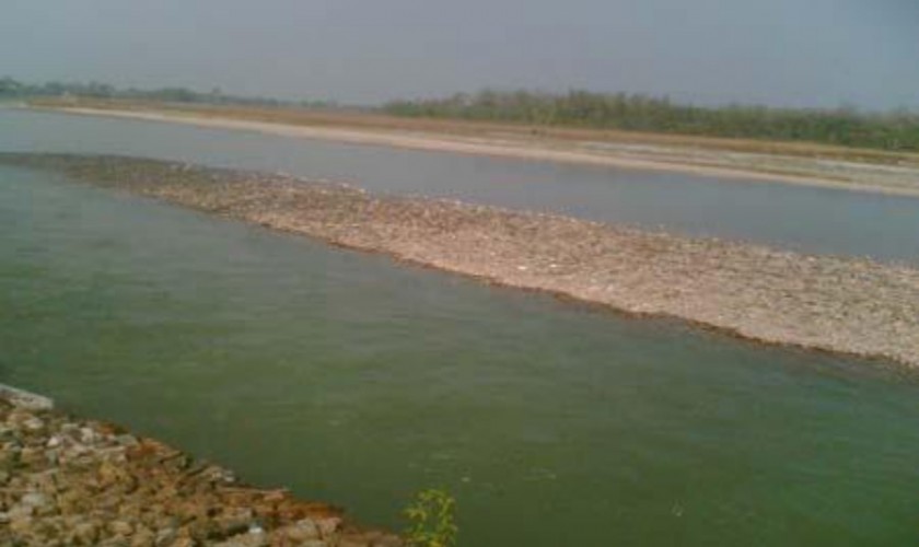 narayani nadi