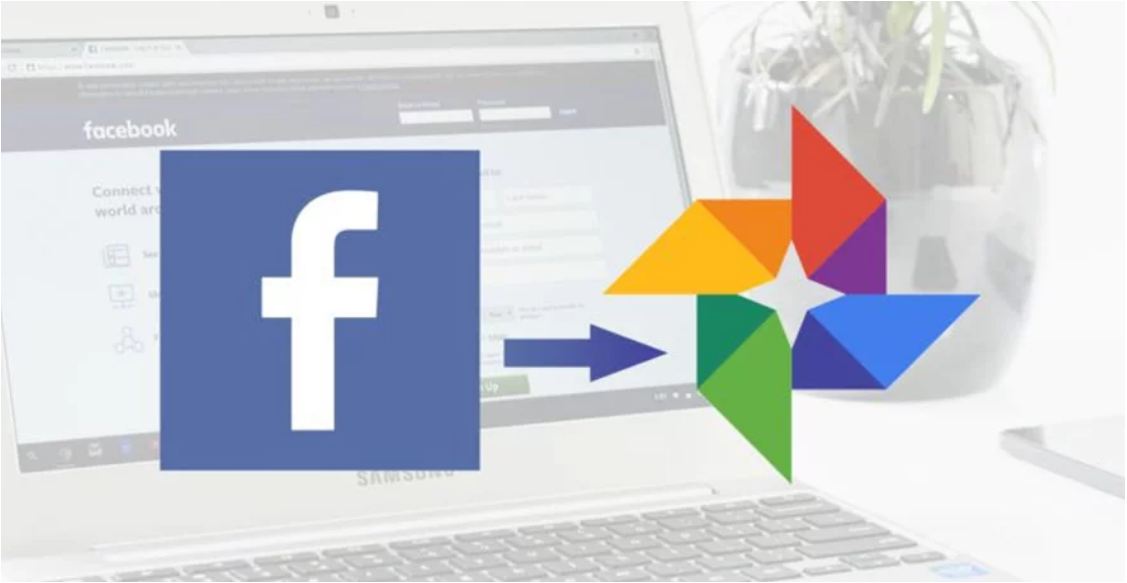 fb google