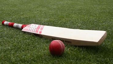 cricket