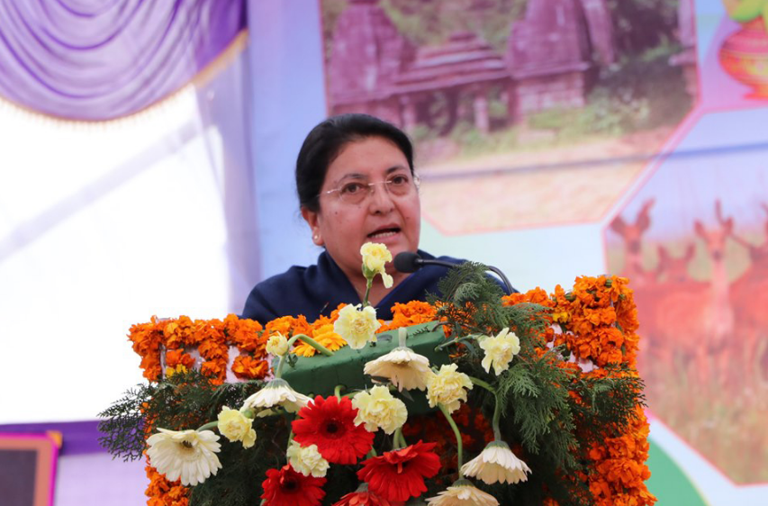 viddya bhandari