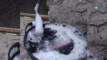 Humla