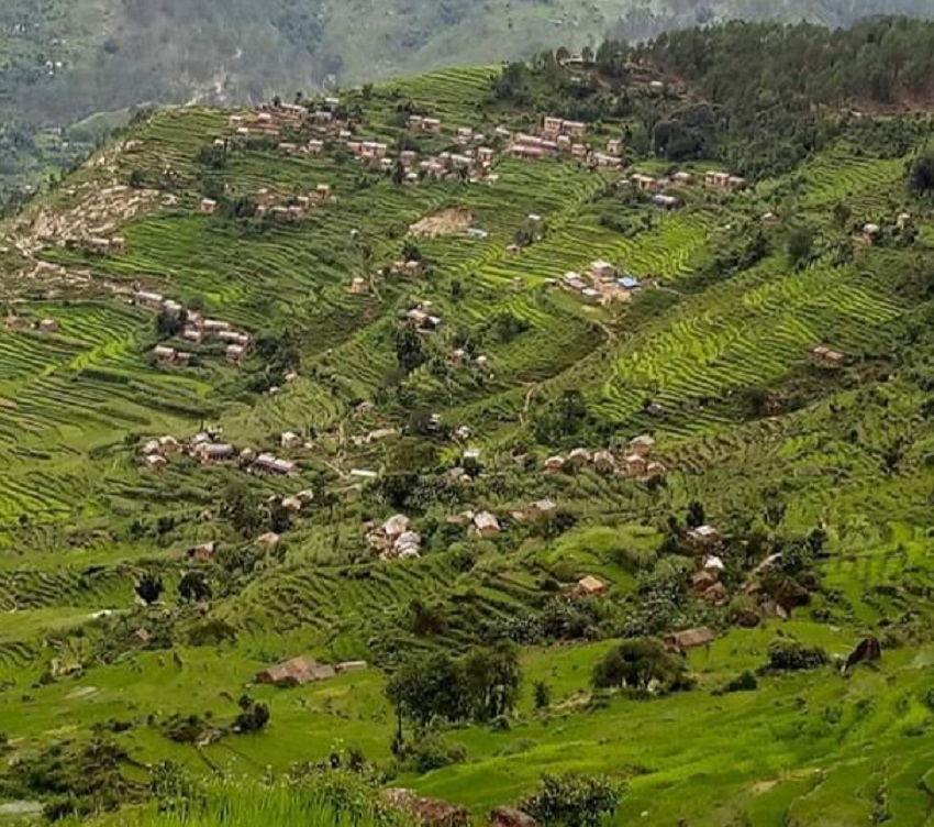 mana gau