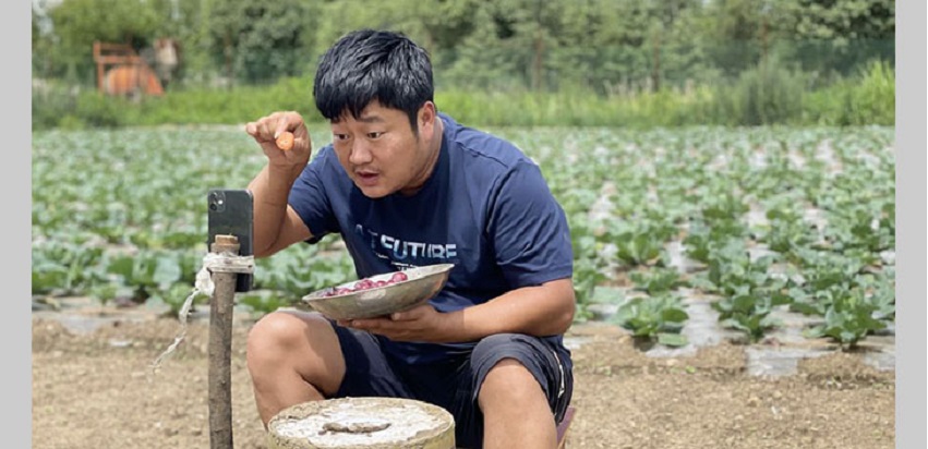 chinese-farmer