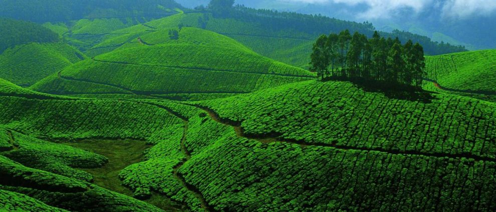 Kerala devolepment