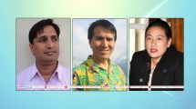 Himal-Krishna-Bina