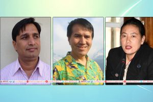 Himal-Krishna-Bina