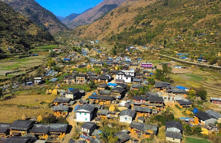 Nishi gau