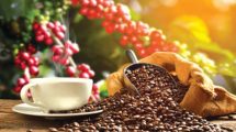 coffee
