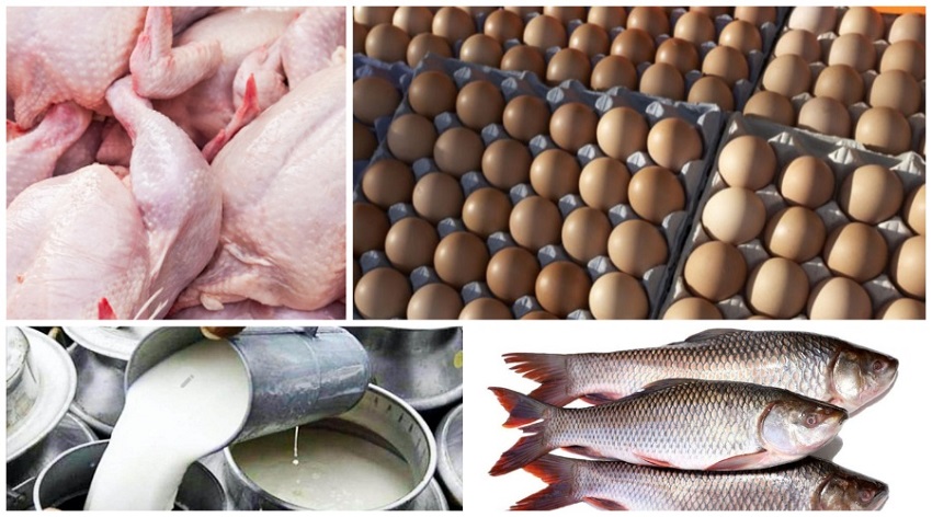 fish_egg_meat_milk_pic