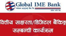 Global-pic